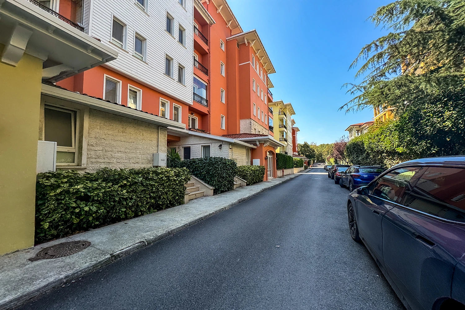 Site İçi ve Giriş